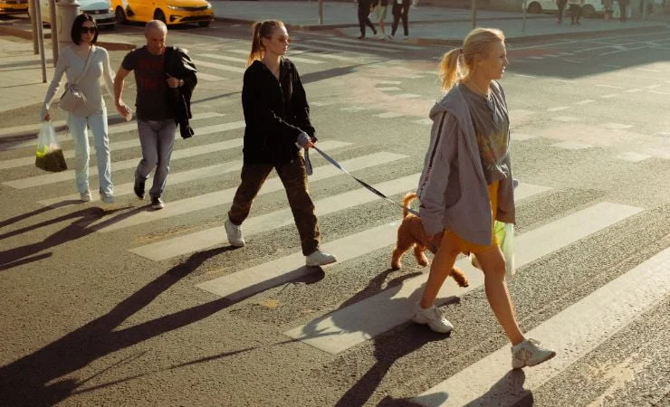 King County WA Pedestrian Accident Attorneys